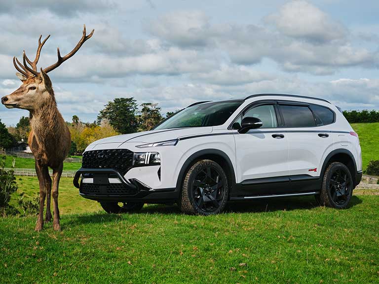 Hyundai Santa Fe Black Label X Edition